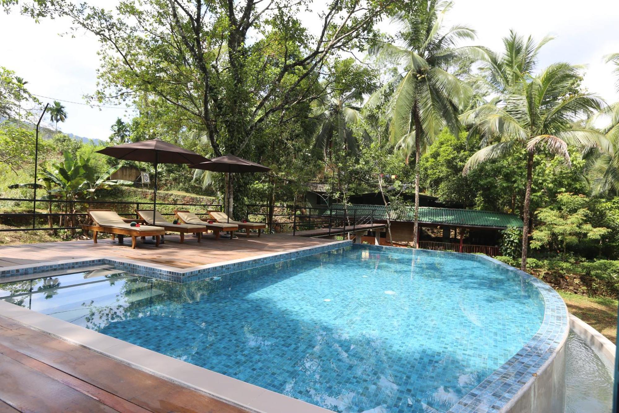 360 Rainforest *